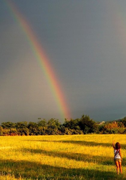 Летний дождик