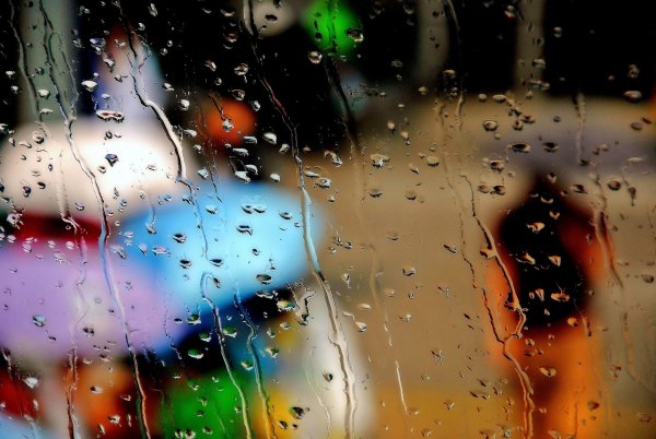 Дождливое окно