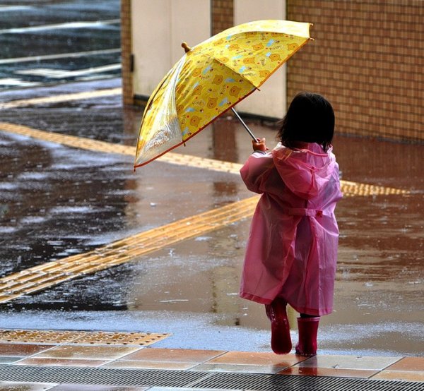 Маленький дождик