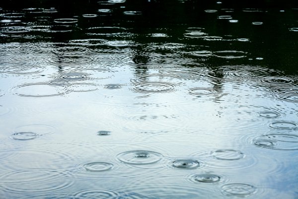 Лужа воды