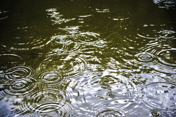 Поверхность воды круги