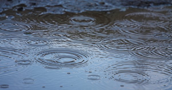 Лужа воды