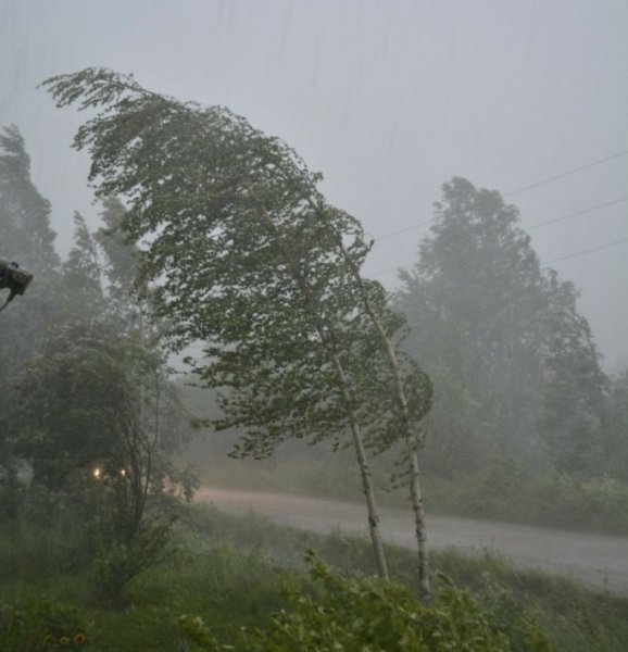 Сильный дождь