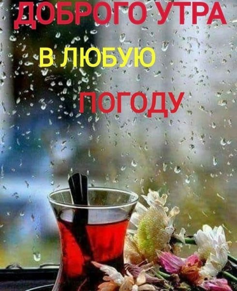 Доб.осен.дождливого утра