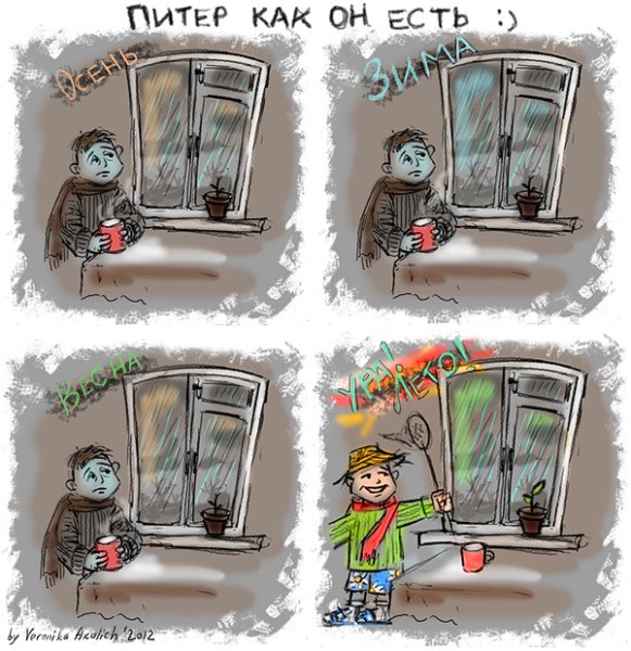 Питер юмор в картинках