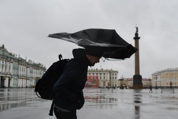 Питер ветер дождь