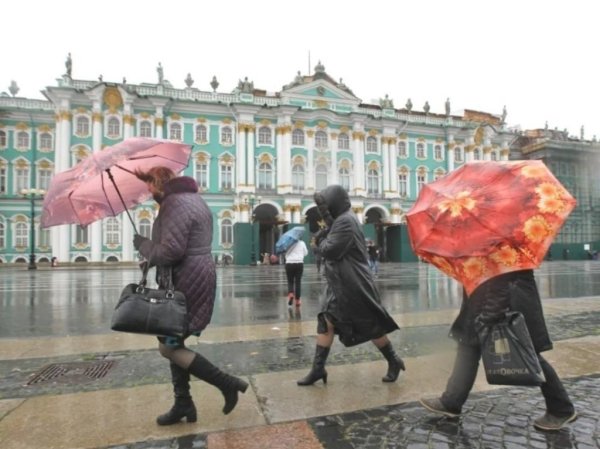 Ветер в Санкт-Петербурге