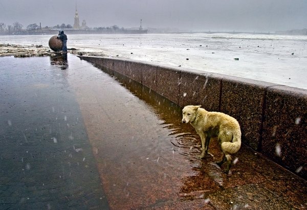 Грустный Питер