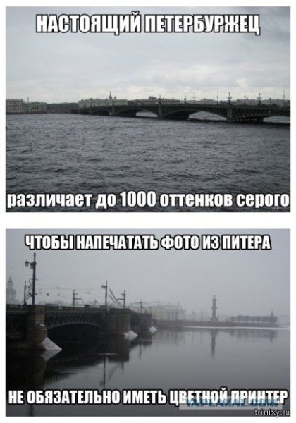 Настоящий петербуржец различает до 1000 оттенков серого