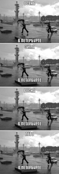 Приколы про Питер