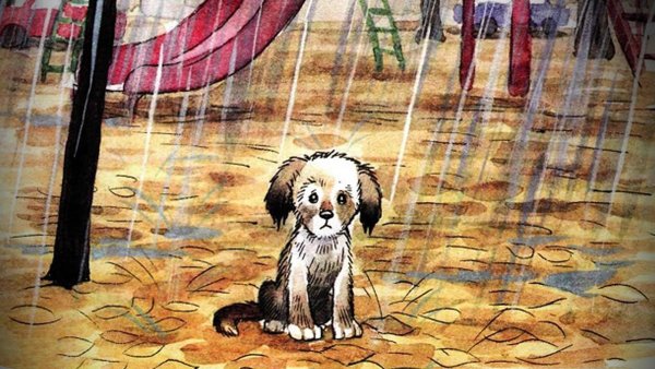 Щенок под дождем