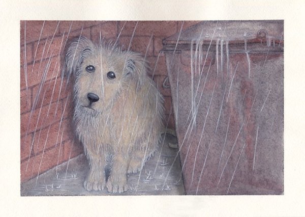 Собака под дождем