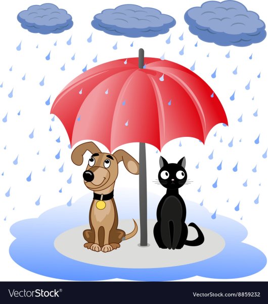 Щенок под зонтиком