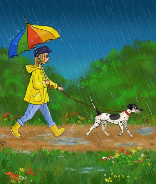 Прогулка с собакой под дождем