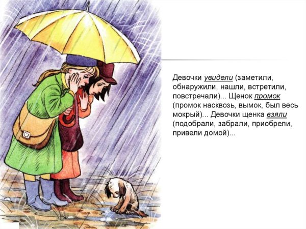 Щенок под дождиком промок