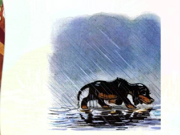 Собака под дождем для детей