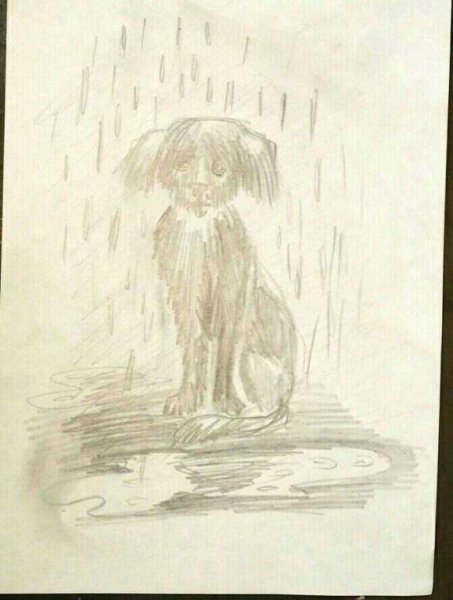 Собака под дождем рисунок
