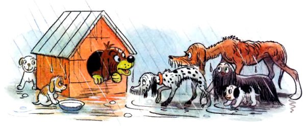 Собачья будка под дождем