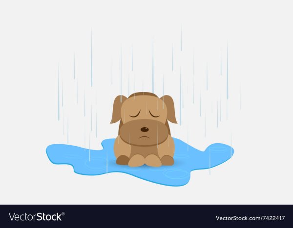 Бездомный пес иллюстрация