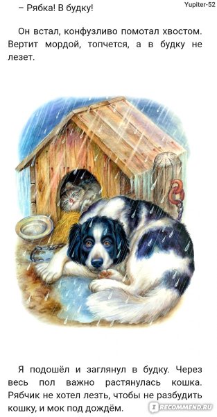 Житков Беспризорная кошка