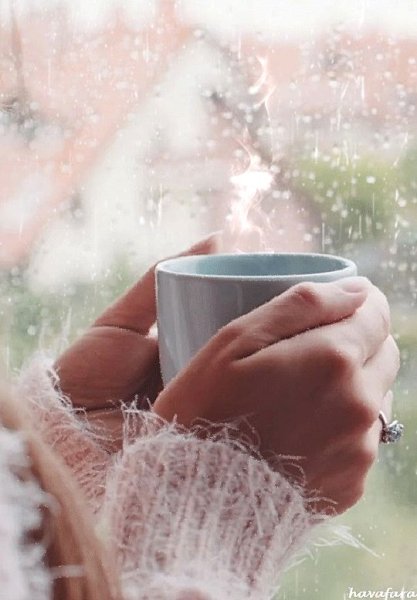 Дождливое утро