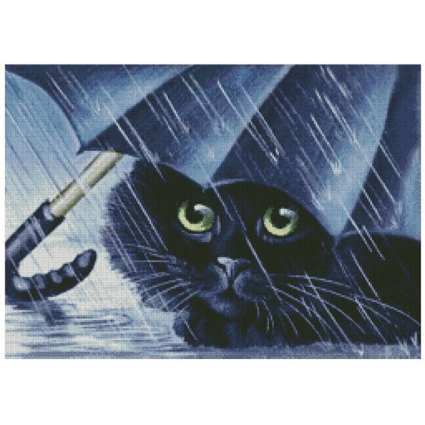 Кот под дождем