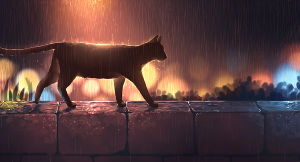 Кошка дождь арт