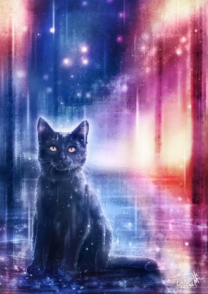Кот под дождем