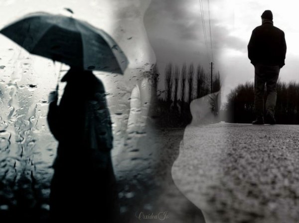 Разлука под дождём