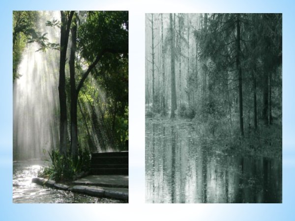 Афанасий Фет дождливое лето