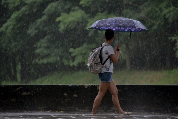 Летний дождь с грозой