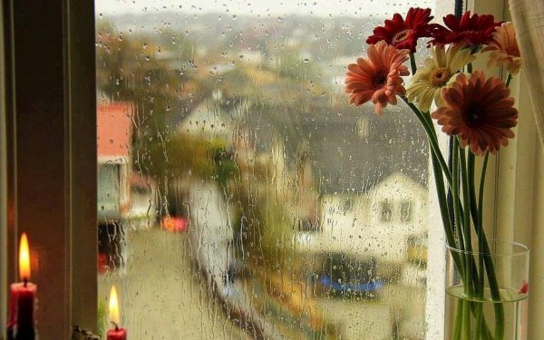 Дождь в окне