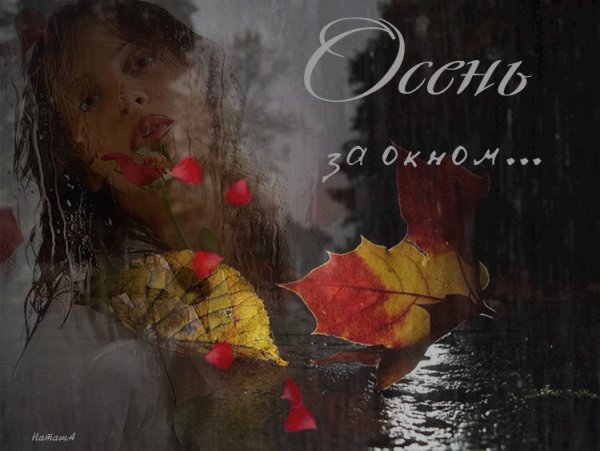 Дождливая осень с надписями