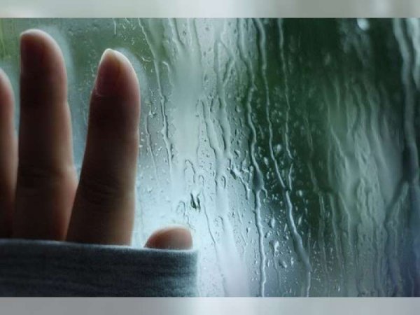 Ладонь на стекле