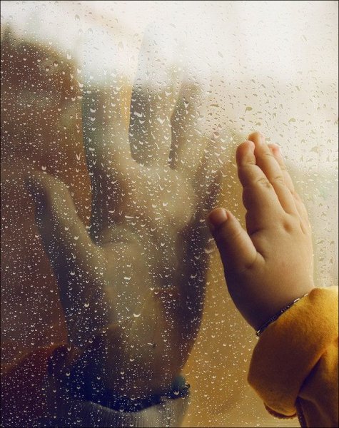 Ладонь на окне