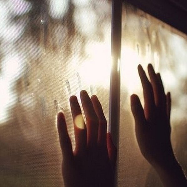 Ладонь на окне