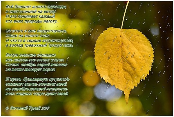 Красивые стихи о Дожде и осени