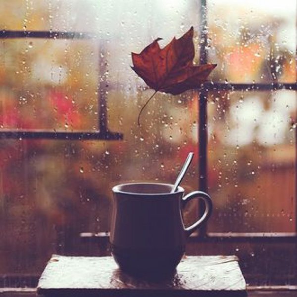 Осень дождь окно