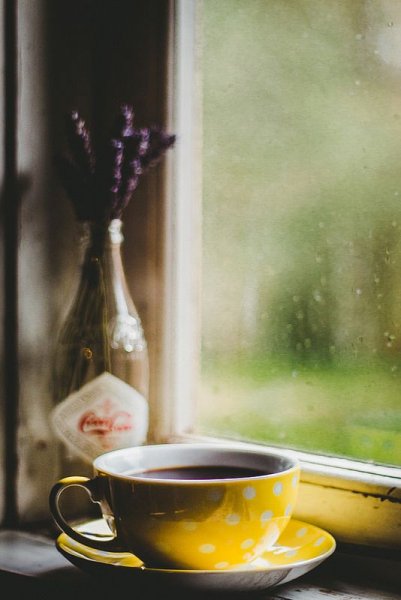 Чай и дождь за окном