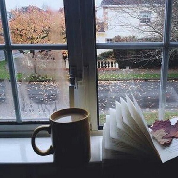 Чай и дождь за окном