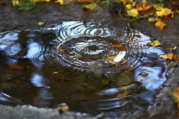 Лужи после дождя