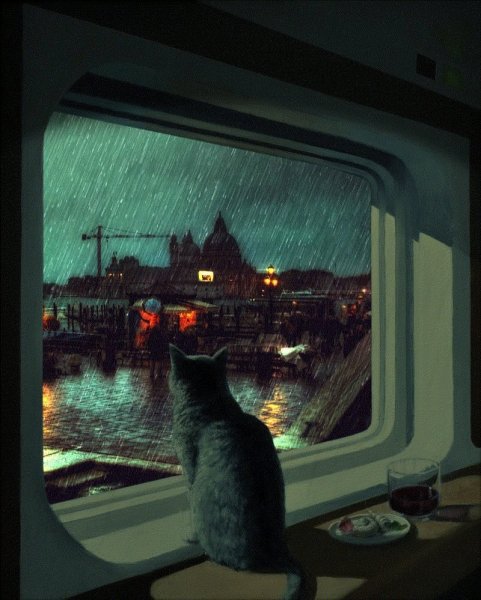 Кот на окне ночью