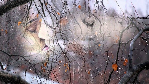 Осень дождь любовь