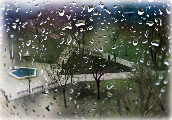 Дождливый вид за окном