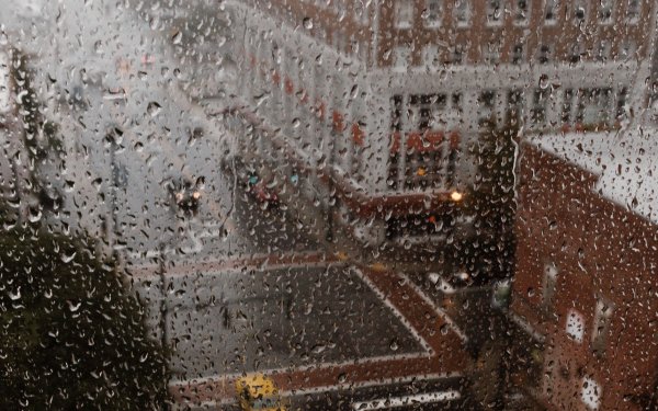 Дождь за окном