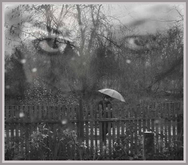 Холодная дождливая осень