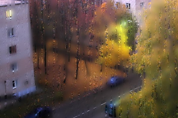 Вид из окна дождь