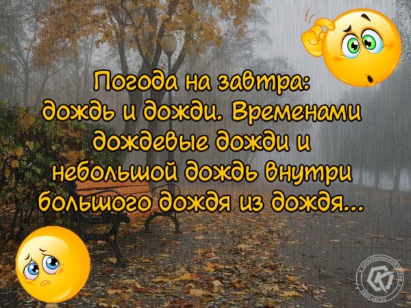 Цитаты о настроение в любую погоду