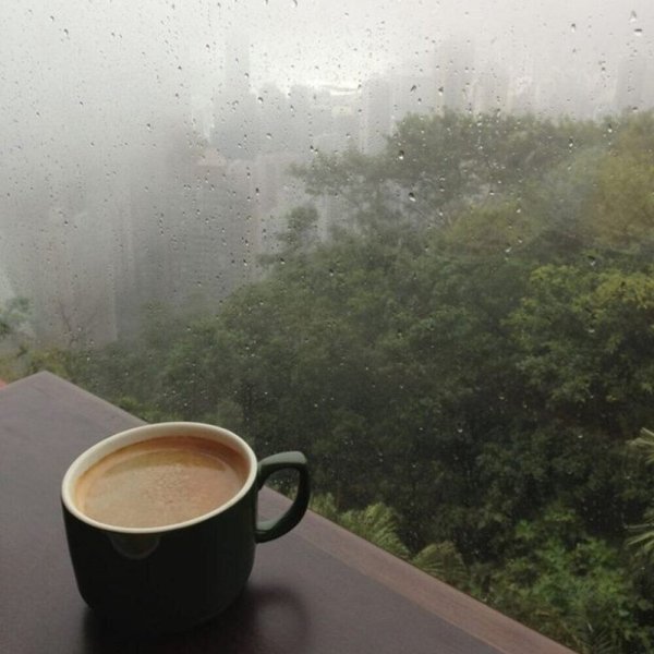 Чай и дождь за окном