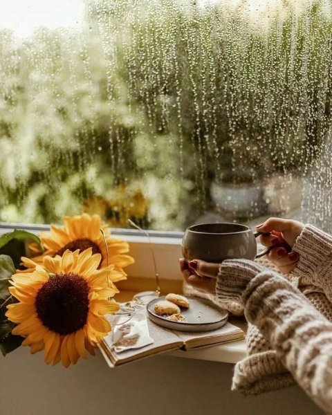 Зима за окном а на окне чай цветы книга